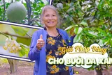 Lê Thị Phẩm: Khởi nghiệp thành công với vườn bưởi da xanh ở Đồng Nai