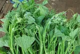 Loại rau bổ dưỡng bán đầy chợ giúp ổn định huyết áp, tốt cho tiêu hóa, nhiều người bỏ qua