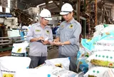 Phân bón Bình Điền chi hơn 200 tỷ đồng trả cổ tức tiền mặt 2025
