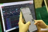 Nhà Đà Nẵng dồn gần nửa tài sản vào cổ phiếu, danh mục có HPG, MBB, GEX