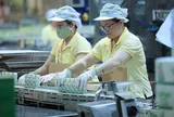 Chủ thương hiệu sữa đậu nành Vinasoy lãi gần 1.000 tỷ đồng, sắp chi hơn 367 tỷ đồng cổ tức