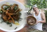 Khách Nhật ghen tị với món bán đầy chợ quê Việt Nam giá chưa tới 100.000 đồng/kg, trong khi ở quê anh loại tương tự đã mất 96% sản lượng tự nhiên