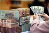Điểm danh doanh nghiệp được dự báo tăng trưởng lợi nhuận trên 100%