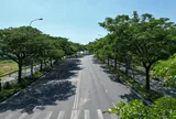 Giá trị của nơi sống có nhiều cây xanh