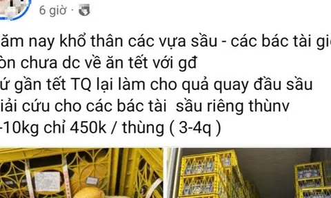 Thực hư “giải cứu” sầu riêng giá siêu rẻ