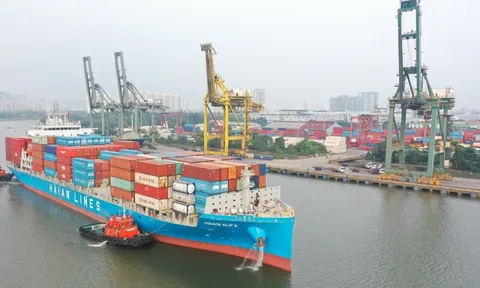 Vận tải và Xếp dỡ Hải An muốn phát hành cổ phiếu để chuyển đổi trái phiếu