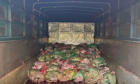 Rùng mình phát hiện hàng tấn nội tạng biến chất đang chờ tuồn ra thị trường