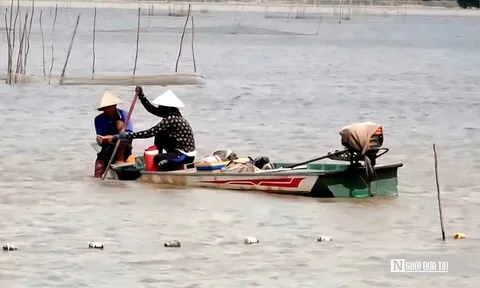 "Cần câu cơm" của nông dân miền Tây trên cánh đồng nước trắng