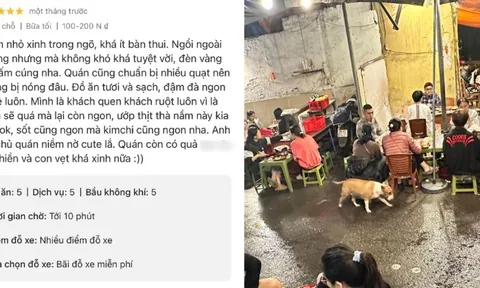 Thực hư quán nướng có Cậu Vàng trong game Phở Anh Hai được 5 sao tuyệt đối