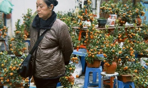 Chợ hoa cổ nhất Hà Nội ngày 23 tháng Chạp: Quất chum, quất mini "chiếm sóng", đào khủng vắng bóng, người xem nhiều hơn người mua