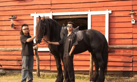 Ngựa đen tiền tỷ “kéo khách” dịp Tết Bính Ngọ: Khách sẵn sàng chi 10 triệu, studio tất bật chạy trend