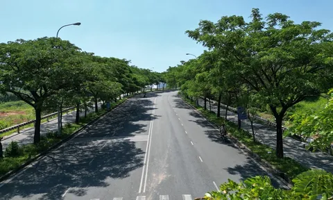 Giá trị của nơi sống có nhiều cây xanh