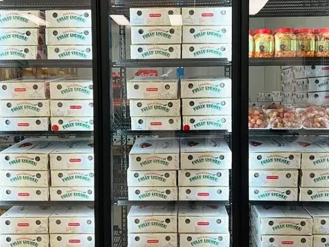 Vải thiều Việt Nam có giá 600.000 đồng/kg tại Australia