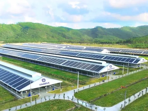 ESG - Xu hướng thế giới và sự "nhận diện" của nhà đầu tư Việt