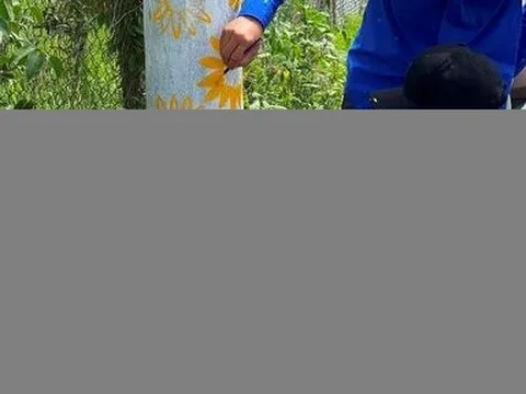 Vĩnh Long: 200 “cột điện nở hoa” dọc tuyến đường dài 10km