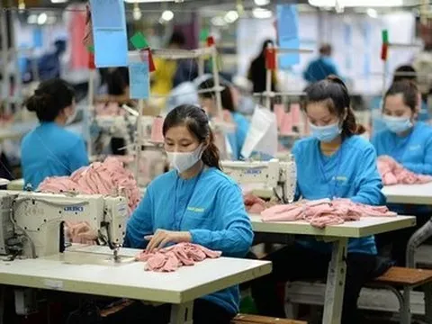 Đồng EURO lao dốc tác động thế nào tới doanh nghiệp xuất nhập khẩu?