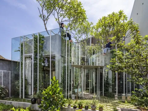 Khám phá ngôi nhà kính vô thực, hư ảo tựa một rừng cây ở Huế