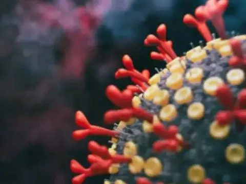 Triệu chứng lâm sàng khi mắc Omicron BA.2.75 siêu lây nhiễm?