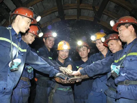 TKV: Doanh thu đạt 60% kế hoạch năm