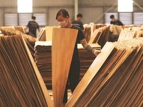 Xuất khẩu gỗ và lâm sản hướng đến mục tiêu 20 tỷ USD vào năm 2025