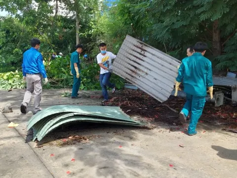 TP HCM: 6 bước xử lý phản ánh về dịch sốt xuất huyết