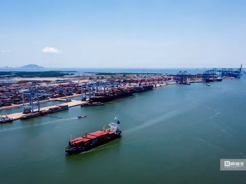 Tổng công ty Hàng hải lãi 2.225 tỷ đồng nửa đầu năm 2022