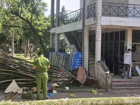 Đang nghỉ trong công viên, người đàn ông bất ngờ bị cây đổ đè chết