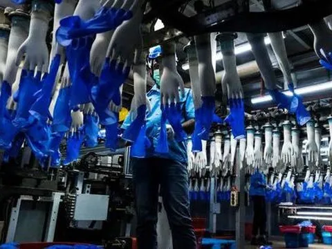 Giá cổ phiếu sụt 89%, "ông vua găng tay" mất hàng tỷ USD