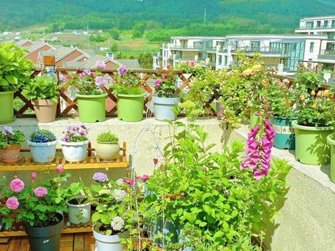 Kiên trì cải tạo 5 lần 7 lượt, bà mẹ thành phố có được khu vườn sân thượng 28m² khiến ai cũng phải ghen tị