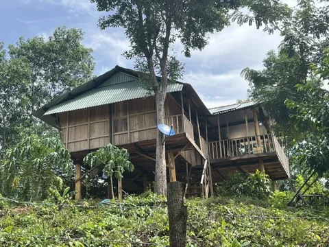 Xây nhà trái phép ở rừng phòng hộ: Thường trực Huyện ủy làm việc với vợ chồng chánh án