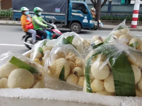 Mộng dừa Bến Tre bán nhiều nơi ở TP HCM