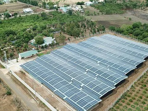 Rối với hàng trăm dự án điện mặt trời vi phạm
