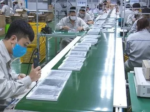 Bóng đèn Phích nước Rạng Đông tăng trưởng doanh thu nhờ chuyển đổi số