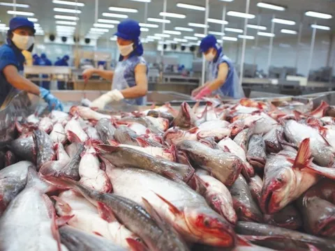 Đối diện nhiều thách thức, ngành thủy sản kiến nghị Chính phủ hỗ trợ