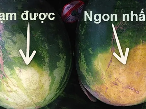 Cách chọn dưa hấu "bách phát bách trúng" quả nào cũng vừa ngọt vừa già!