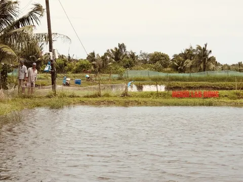 Một phụ nữ bị cánh quạt nuôi tôm cuốn tử vong, bỏ lại 2 con nhỏ