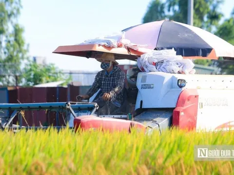 Đặt mục tiêu có doanh nghiệp chế biến nông sản ngang tầm thế giới