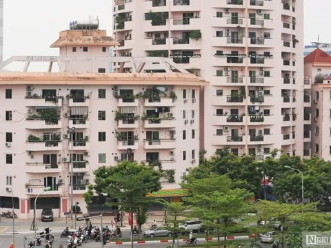 Quảng Ngãi chỉ đạo khẩn xây dựng 23 khu tái định cư và trạm xử lý nước thải