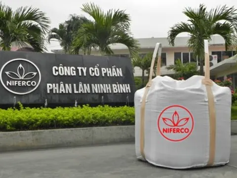 Phân lân Ninh Bình vượt kế hoạch lợi nhuận cả năm chỉ sau 6 tháng