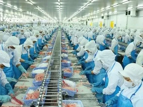 Vĩnh Hoàn: Doanh thu đạt kỷ lục, trích dự phòng thua lỗ vì chứng khoán