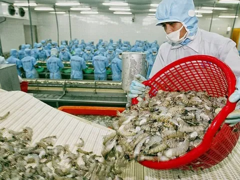 Xuất khẩu tôm dự kiến đạt 4,2 tỷ USD trong năm 2022