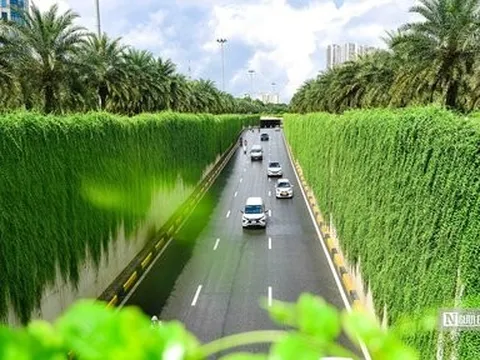 Chiêm ngưỡng con đường màu xanh ở Hà Nội ngỡ như trong phim