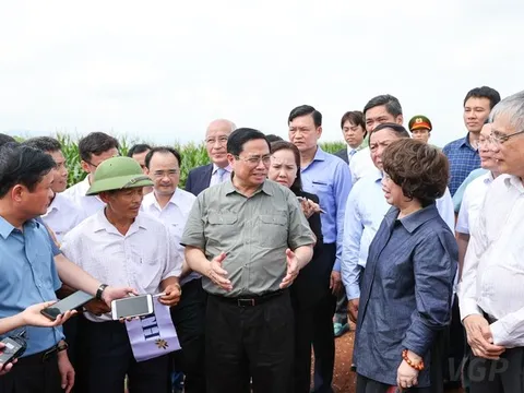 Đẩy mạnh hợp tác công - tư vào phát triển đất nước