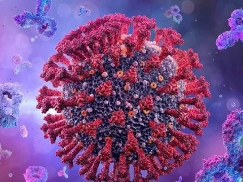 Triệu chứng thường gặp khi mắc Omicron BA.2.12.1 - biến thể phụ mới đã xuất hiện ở VN