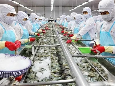 Nhiều đại gia thủy sản bị quấy nhiễu, đòi nợ, bị tung tin đồn “đã chết”