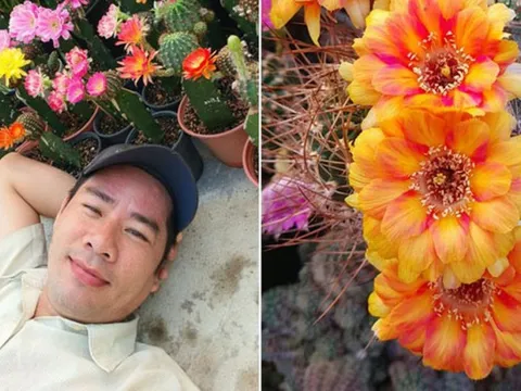 Vườn xương rồng như trong cổ tích của ông bố Khánh Hoà, 22 năm nhặt nhạnh 3000 cây