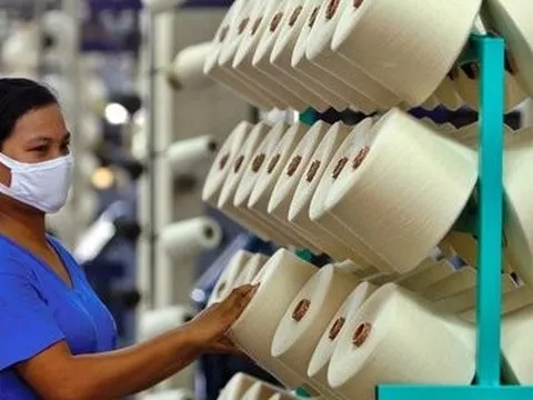 Lỗ chênh lệch tỉ giá khiến lợi nhuận 6 tháng của Sợi Thế Kỷ sụt giảm