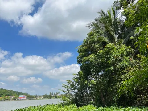 Phó giám đốc Trung tâm quỹ đất huyện tử vong trong tư thế treo cổ