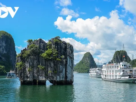 Điều gì giúp vịnh Hạ Long hút hàng triệu lượt khách mỗi năm?