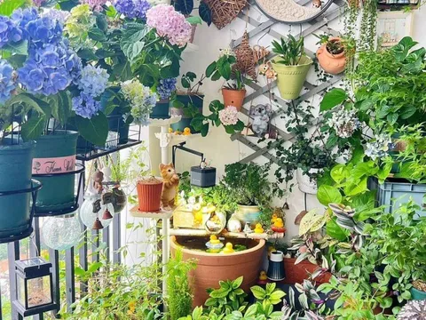 Khu vườn ban công chỉ 4m² khiến bạn nhìn là mê ngay